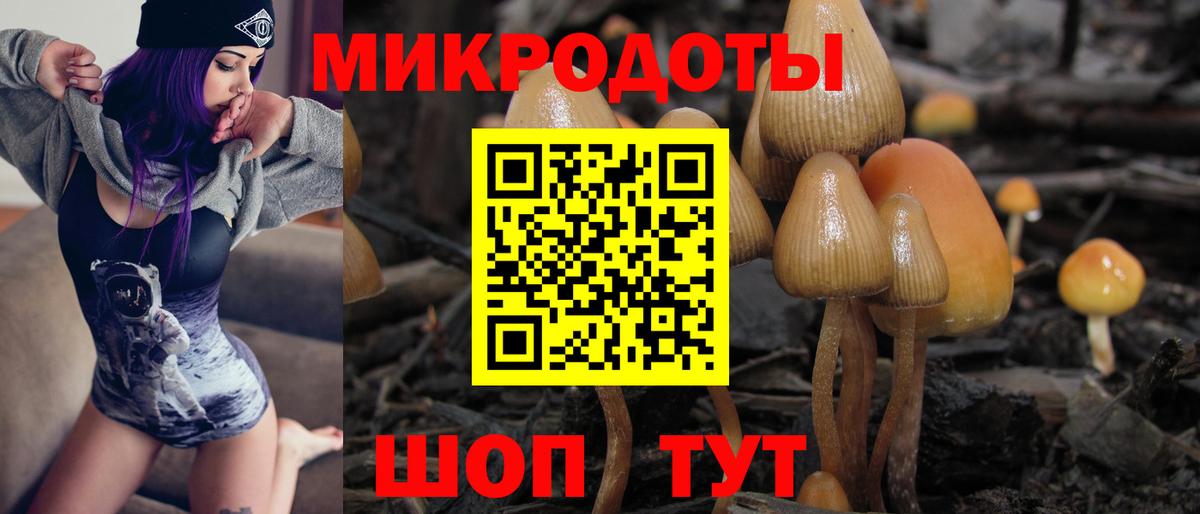 Славгород  Псилоцибиновые грибы Magic Shrooms  Галлюциногенные грибы мухоморы  Вход с VPN 