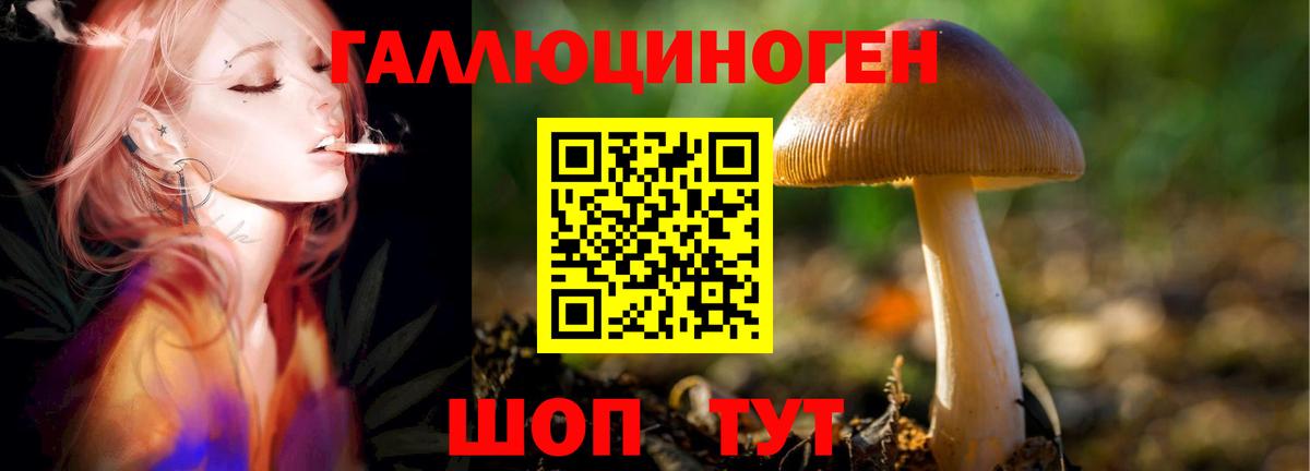 Галлюциногенные грибы мицелий Славгород